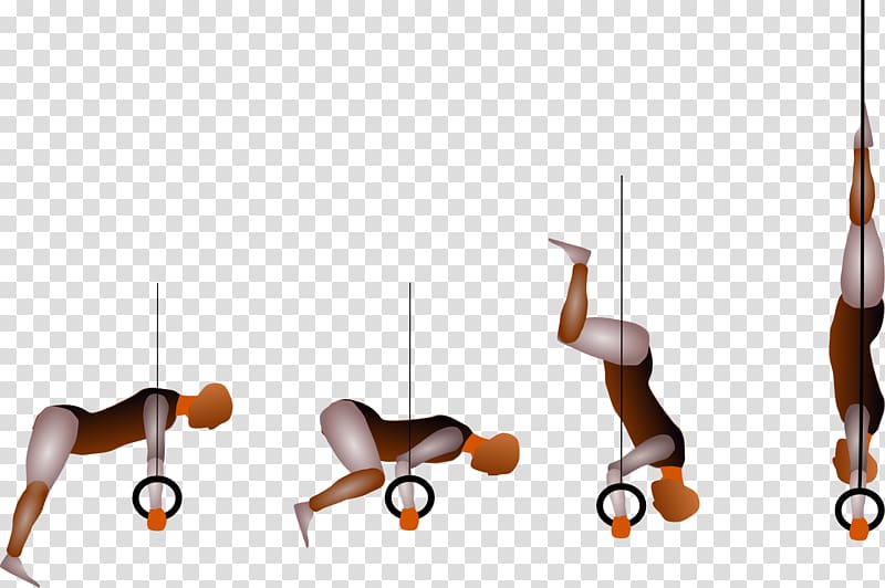 Handstand Kip Gymnastics Rings L-sit Shoulder, others transparent background PNG clipart