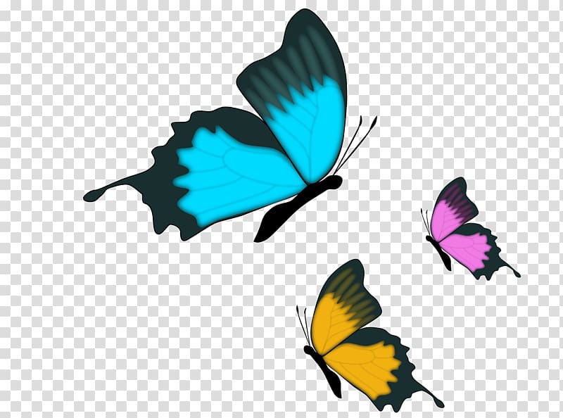 Butterfly Pasta Farfalle , balloon transparent background PNG clipart