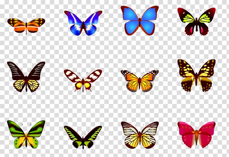 assorted-color butterflies, Butterfly ICO , butterfly transparent background PNG clipart