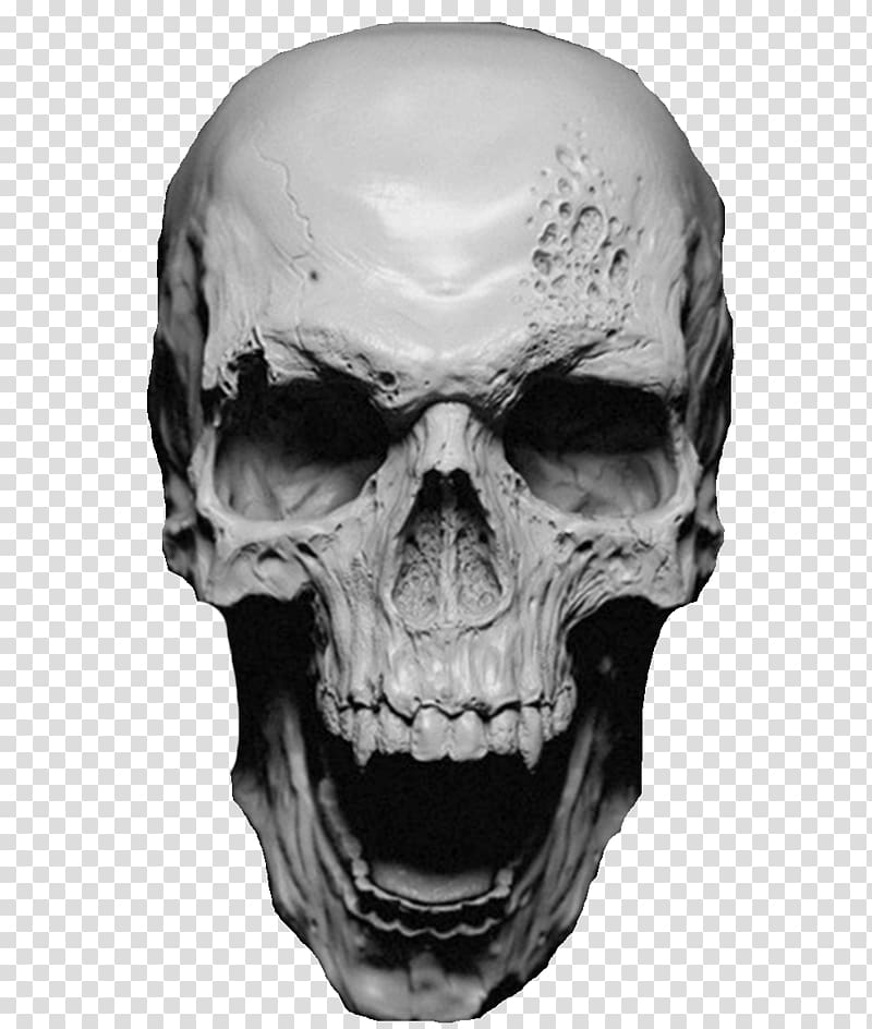 T-shirt Skull Human skeleton Clothing, three skulls transparent background PNG clipart