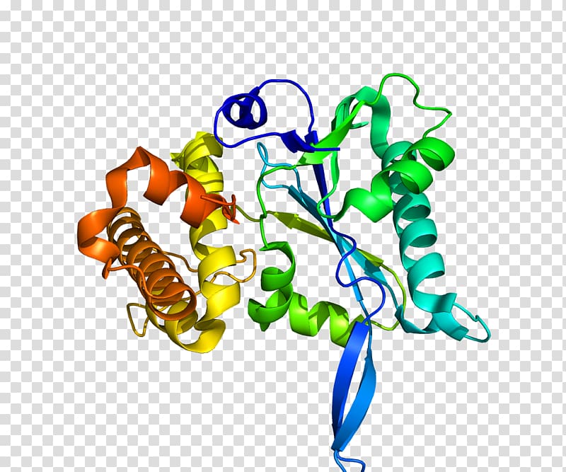 Protein Data Bank Prp8 RNA splicing Spliceosome, others transparent background PNG clipart