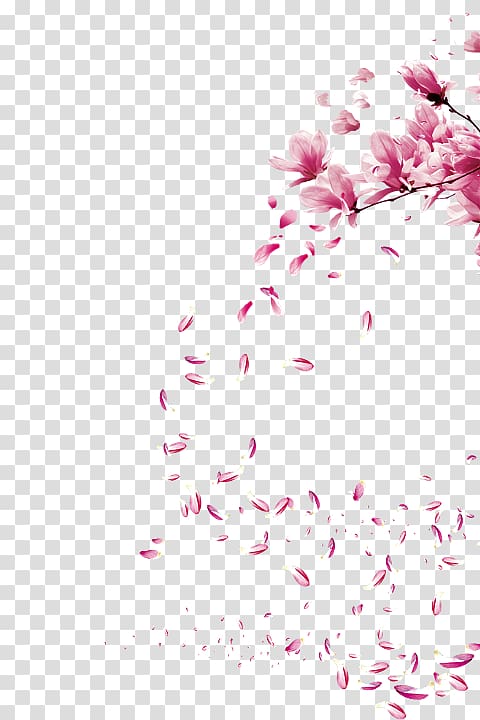Watercolor painting Cherry blossom Brush, peach blossom festival transparent background PNG clipart