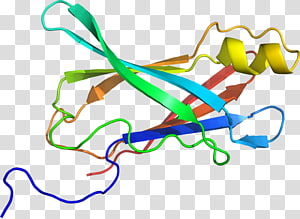 Line Point , line transparent background PNG clipart thumbnail