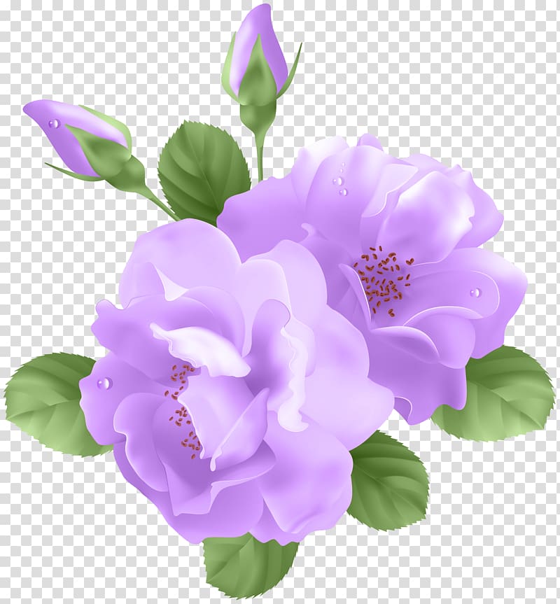 purple petaled flower illustration, Purple Rose Flower , Purple Roses transparent background PNG clipart