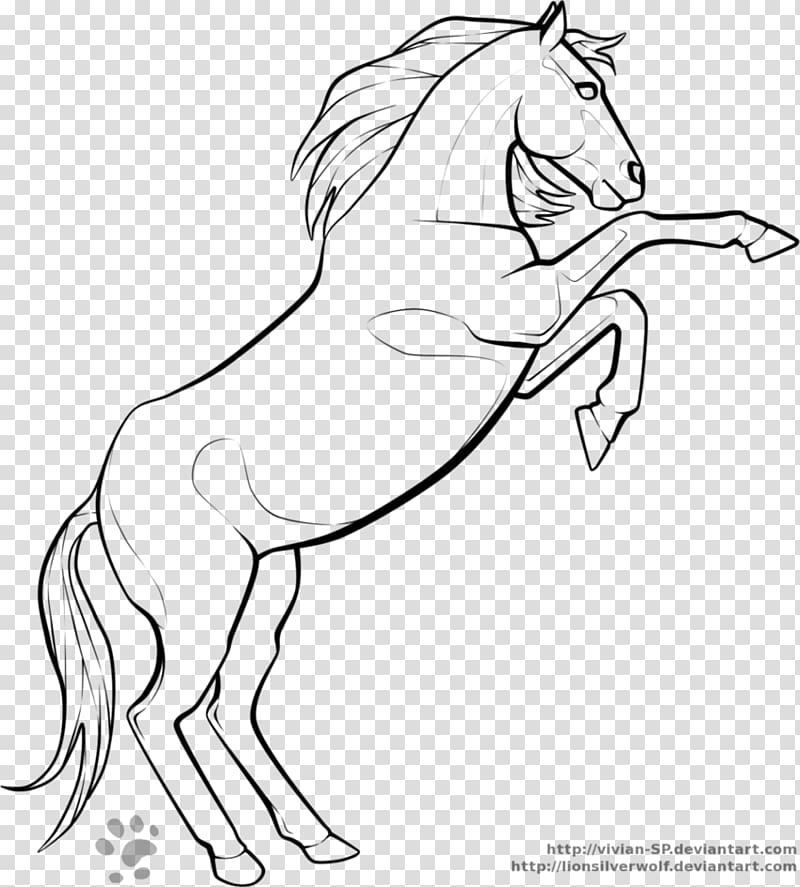How to draw a Horse Galloping - YouTube