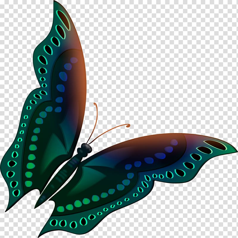 Butterfly Facebook Insect Pollinator Color, butterflay transparent background PNG clipart