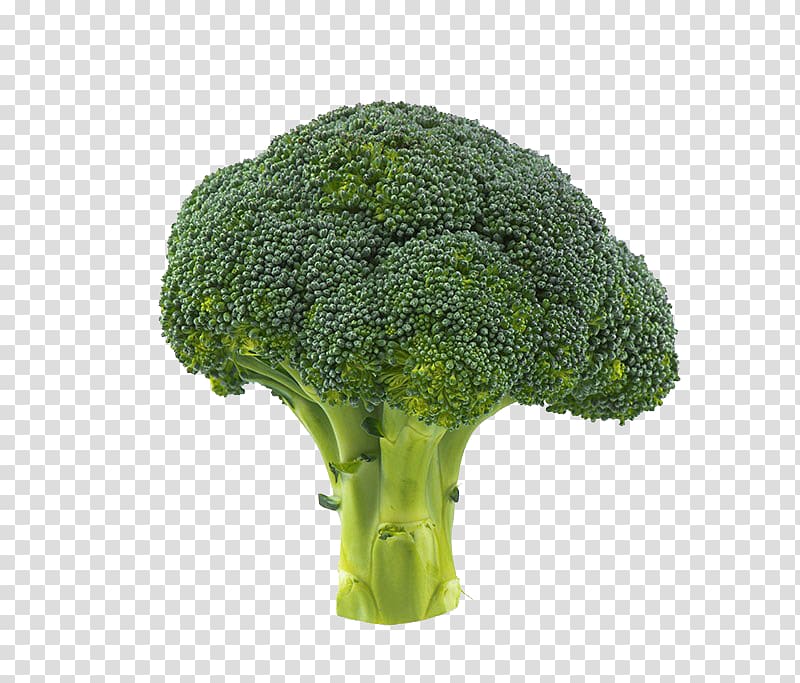 Broccoli Vegetable Cauliflower, Broccoli transparent background PNG clipart
