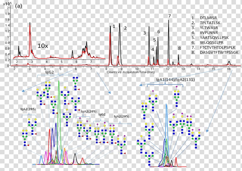 Glycan Glycomics Glycosylation Glycome Systems biology, comics studies transparent background PNG clipart