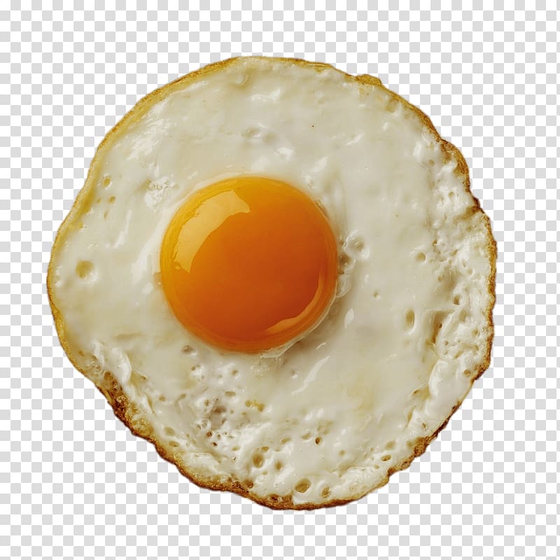 Sunny Side Up Eggs clip art Clipart for Free Download