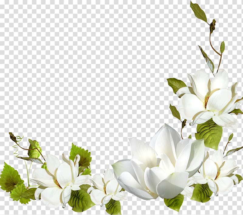 Flower Frames , white flower transparent background PNG clipart