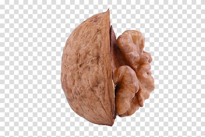English walnut Drupe Wisgoon, walnut transparent background PNG clipart