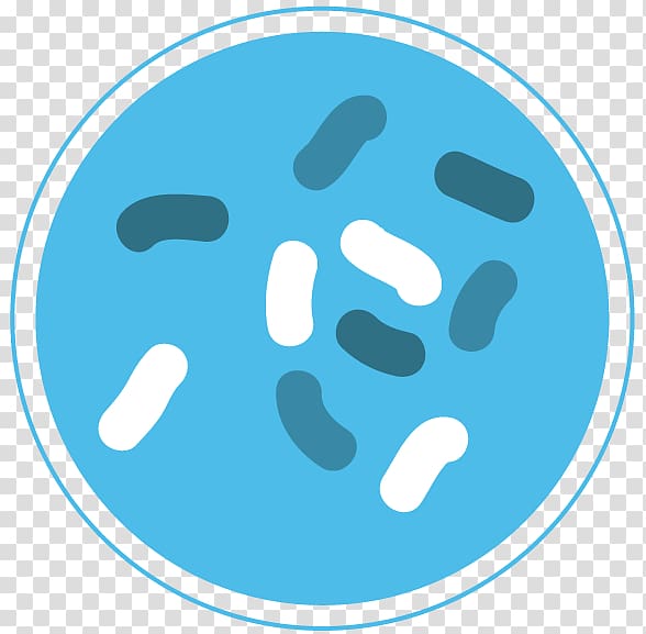 Bacteria transparent background PNG clipart