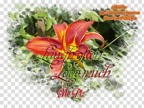 Cut flowers Flowering plant, senior makeup artist transparent background PNG clipart