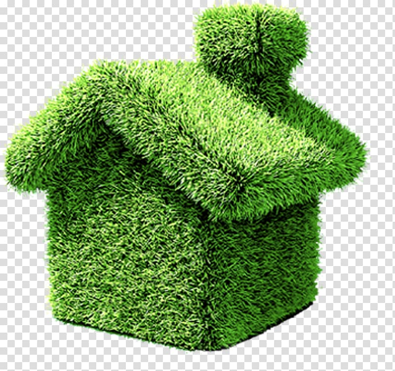 House Environmentally friendly Green home Green building, tree house transparent background PNG clipart