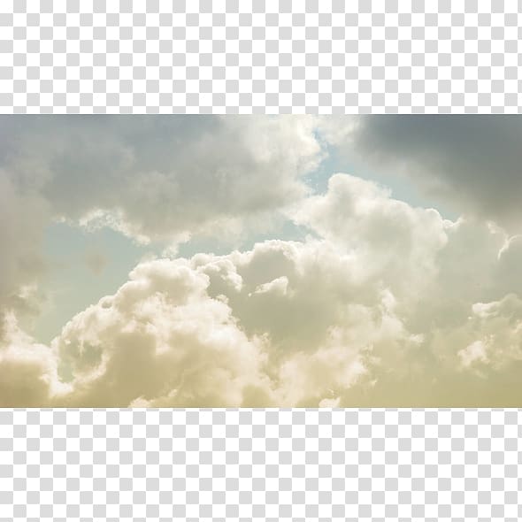 Desktop Cloud forest Sky White, Cloud transparent background PNG clipart
