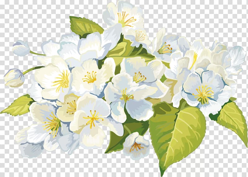 Flower Animation Garden roses, white flower transparent background PNG clipart