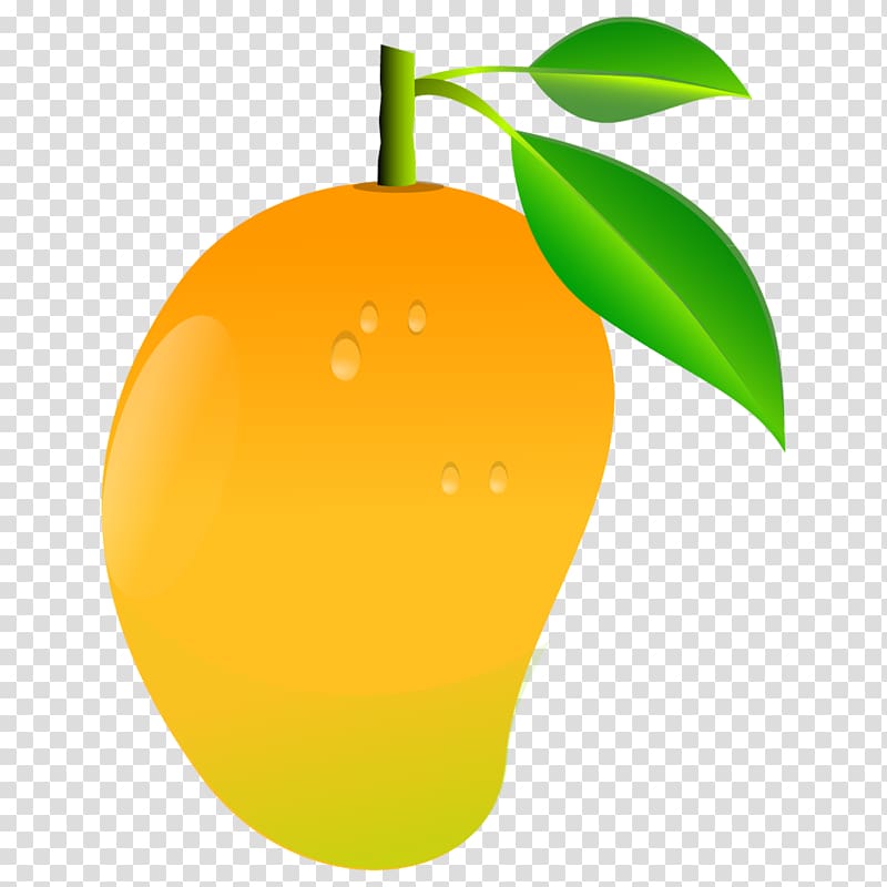 Mango transparent background PNG clipart