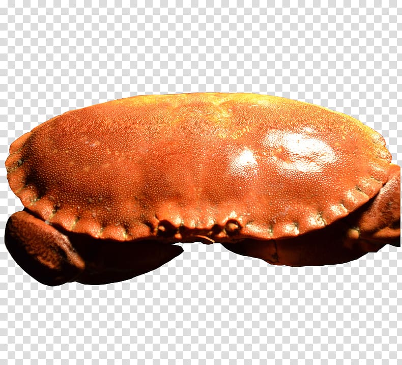 Crab Seafood Ireland Chaceon fenneri, Irish crab ecliptic transparent background PNG clipart