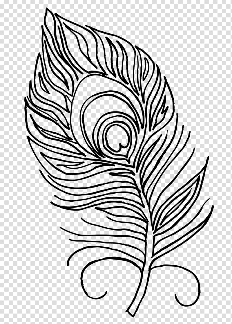 Coloring book Feather Peafowl, feather transparent background PNG clipart