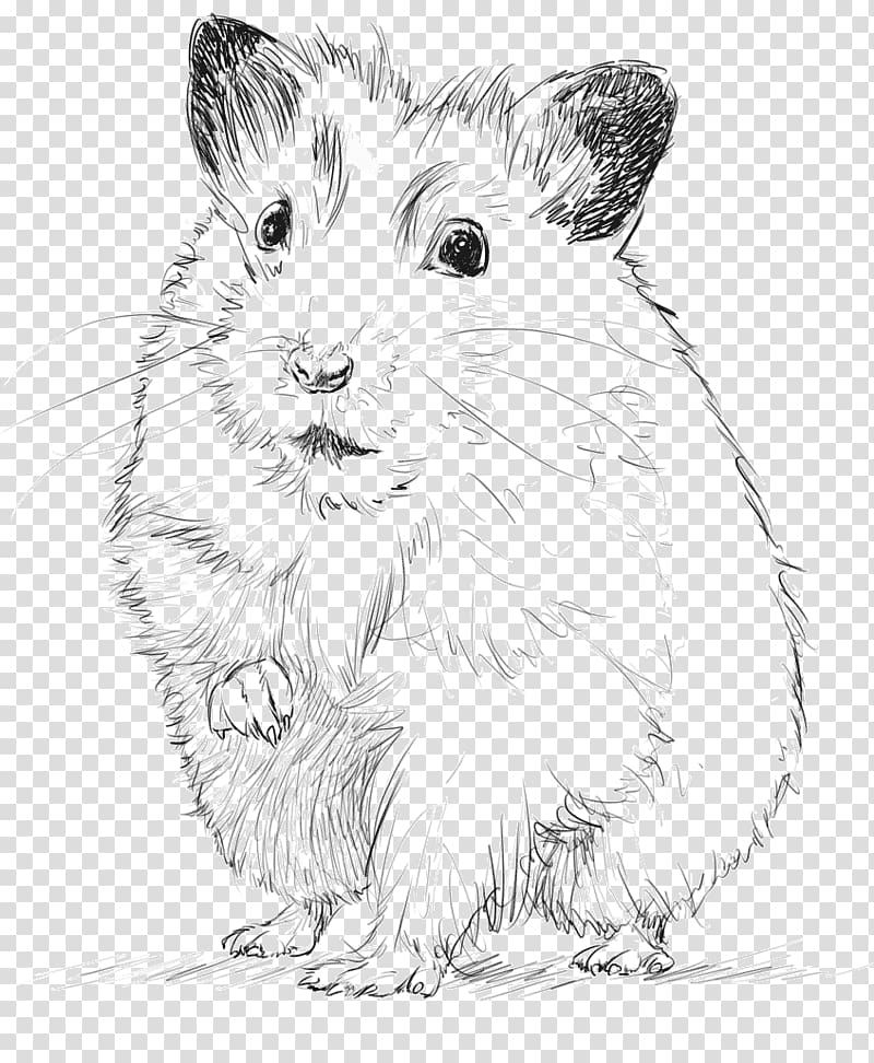 Gerbil Croquis House Drawing Sketch, house transparent background PNG clipart