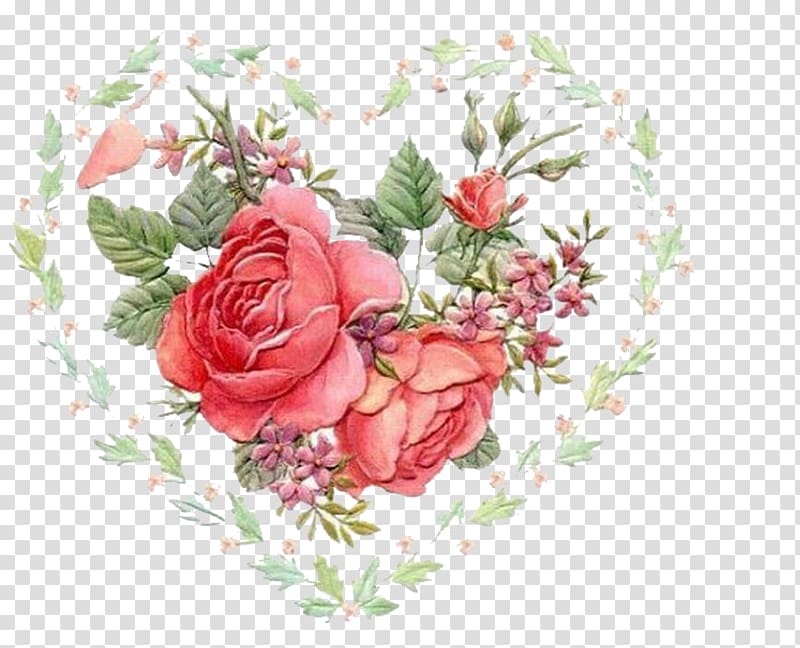 Animation Rose, Love Rose transparent background PNG clipart