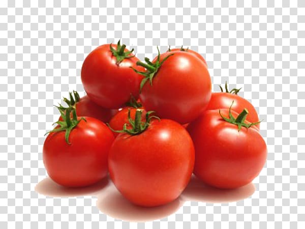 Growing Tomatoes Vegetable Fruit Food Tomato sauce, vegetable transparent background PNG clipart