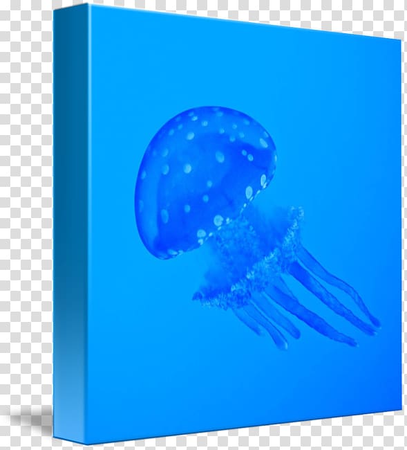 Jellyfish Font, blue jellyfish transparent background PNG clipart