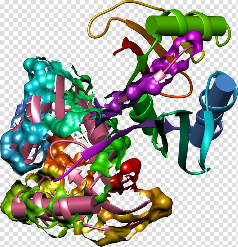 Bleomycin Erlotinib Enzyme inhibitor Side effect Denosumab, others transparent background PNG clipart
