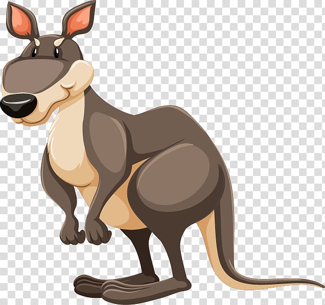 Kangaroo Diagram , cartoon Grey Kangaroo transparent background PNG clipart
