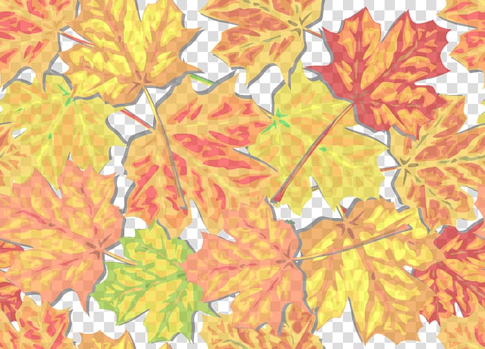 Autumn leaf color , Starch transparent background PNG clipart