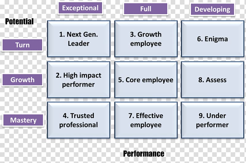 Performance management Talent management Organization, vocational skills template transparent background PNG clipart