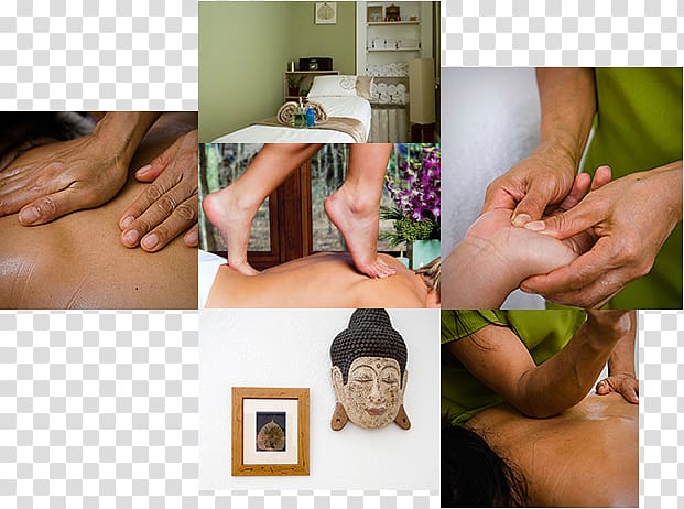 The Thai Massage Centre Massage parlor Therapy, Massage Therapy Of ton transparent background PNG clipart