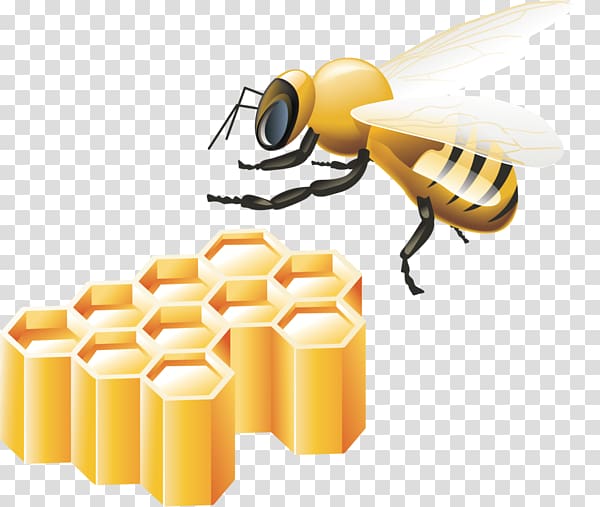 Bee , Cartoon Bee Free buckle material transparent background PNG clipart