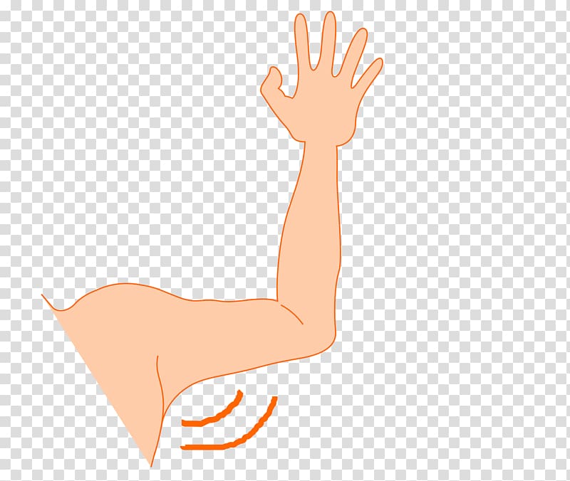 Arm Thumb Axilla , arms transparent background PNG clipart