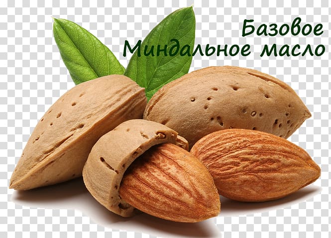 Almond oil Food Dried Fruit, noix transparent background PNG clipart