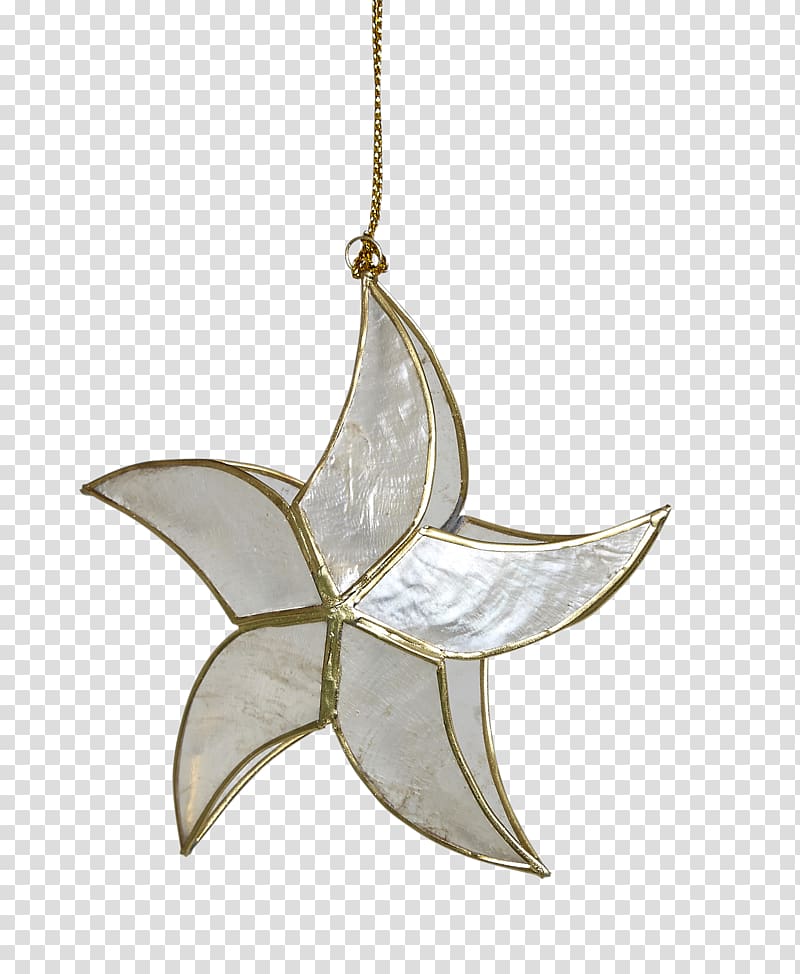 Christmas ornament Charms & Pendants Windowpane oyster, ornaments collection transparent background PNG clipart
