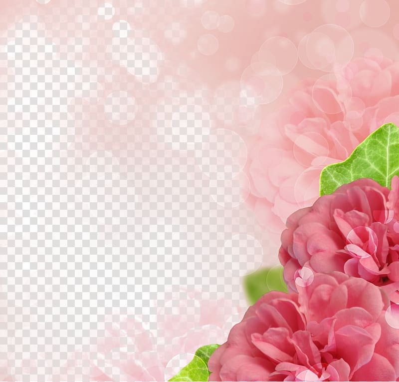 pink flowers border, Rose Microsoft PowerPoint Flower, Pink hibiscus edge transparent background PNG clipart