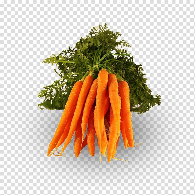 Baby carrot Vegetarian cuisine Vegetable Onion Food, vegetable transparent background PNG clipart