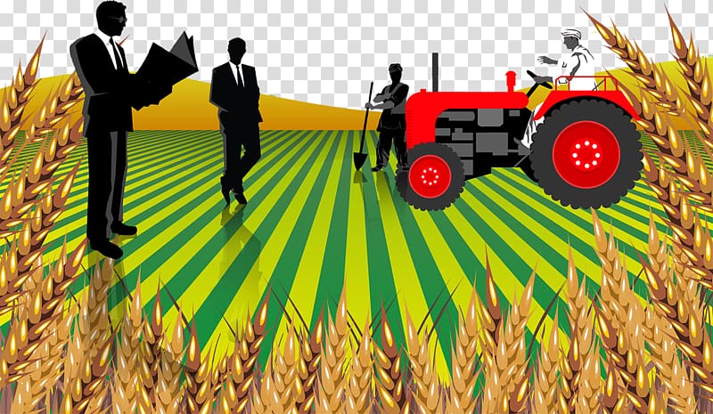 India Agriculture Rural area Entrepreneurship Business, Land wheat harvest illustration transparent background PNG clipart