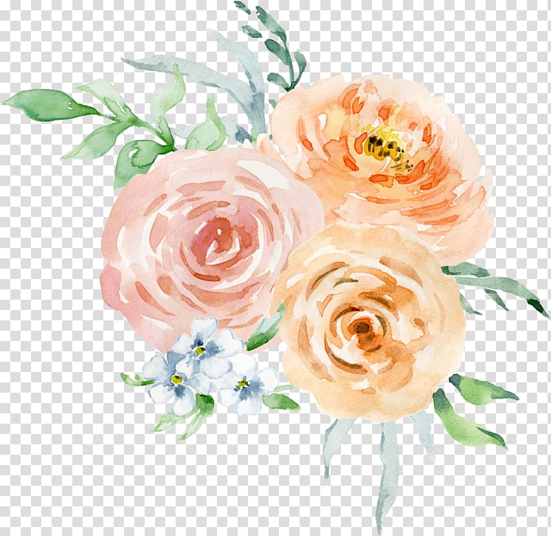 Floral design Garden roses Watercolor painting, Watercolor Invitation Card Watercolor transparent background PNG clipart