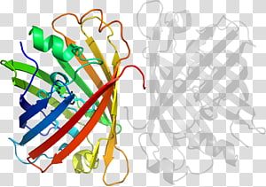 Line Point , line transparent background PNG clipart thumbnail