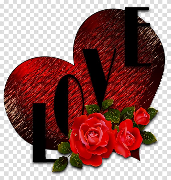 Love , heart transparent background PNG clipart