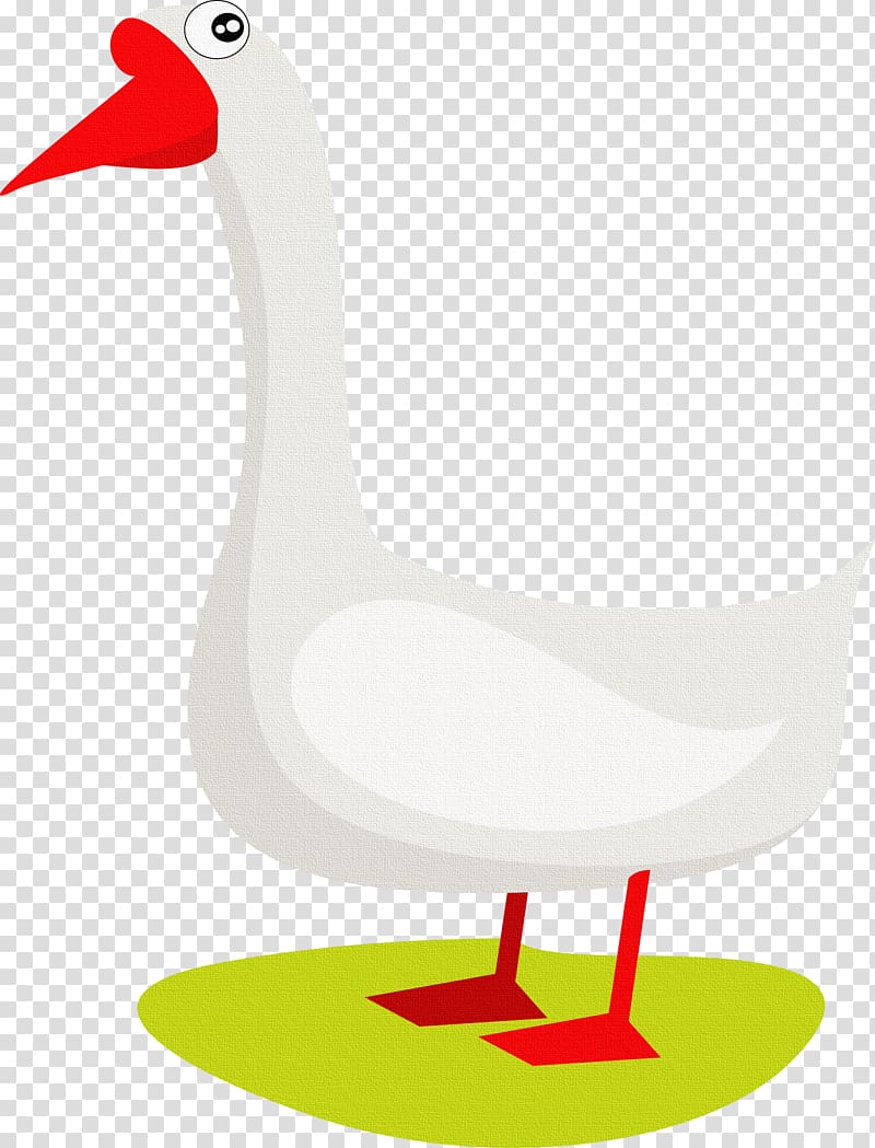 Domestic goose Duck , Goose transparent background PNG clipart