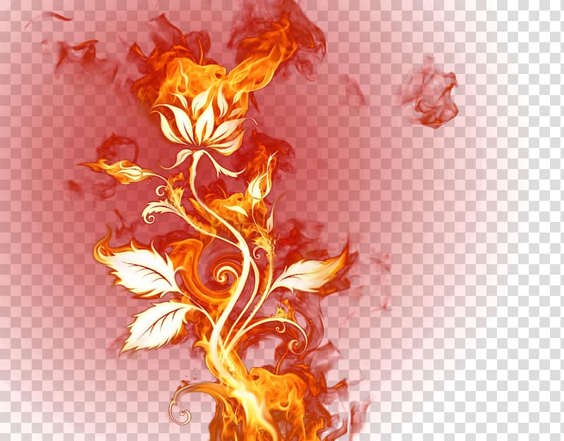 Flame Fire , Flame effects flower vine transparent background PNG clipart