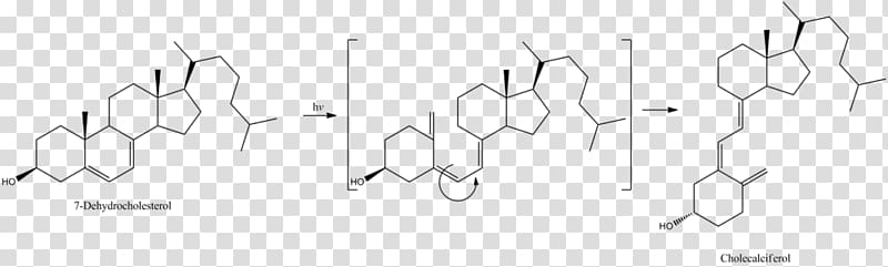 Angle Pregnenolone, others transparent background PNG clipart