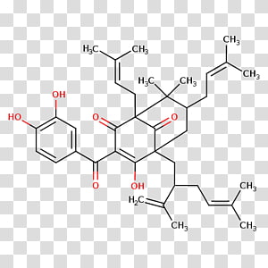 Line Point Angle, line transparent background PNG clipart thumbnail