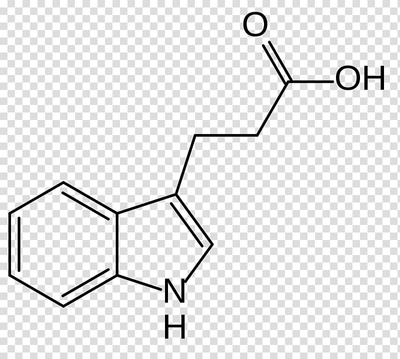 Indole-3-acetic acid Auxin Indole-3-butyric acid Plant hormone, plant transparent background PNG clipart