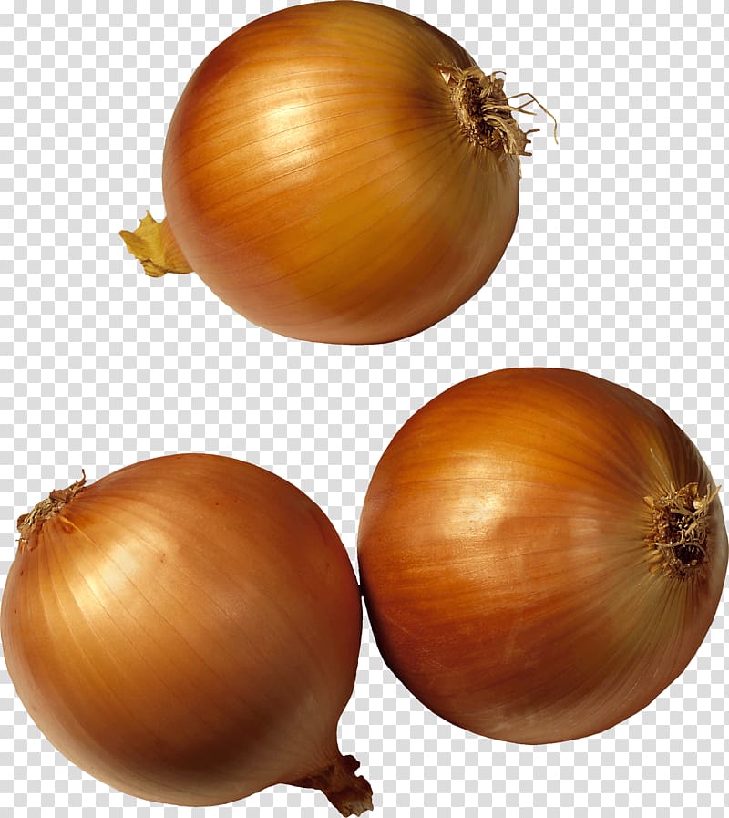 Potato onion Shallot Vegetable, Onion transparent background PNG clipart