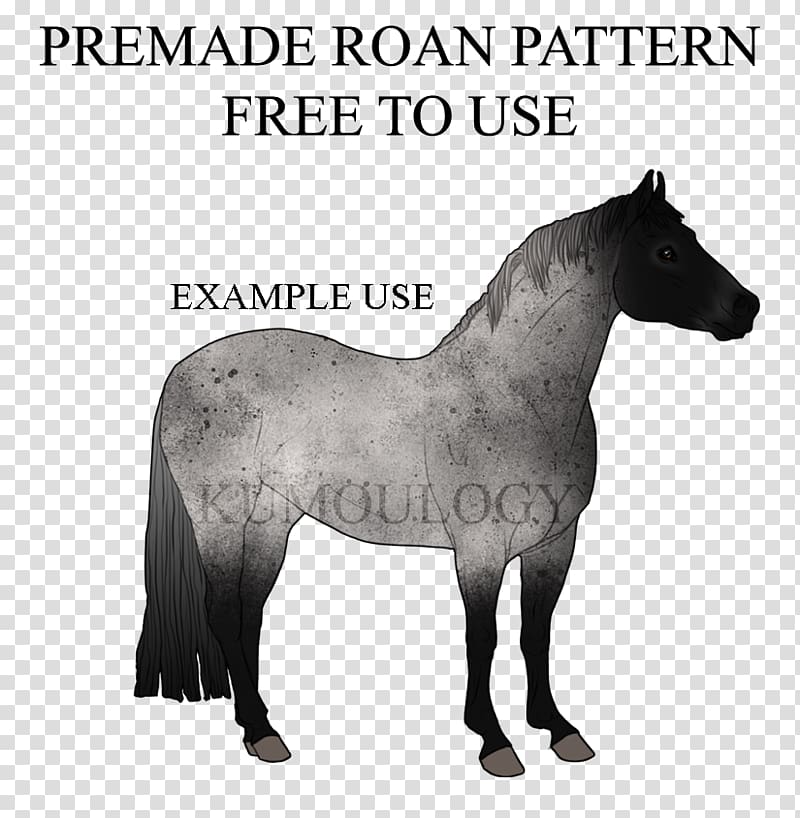 American Quarter Horse Mane Mare Stallion Mustang, Horse pattern transparent background PNG clipart