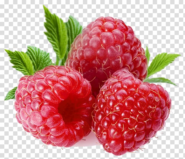 three raspberries, Red raspberry Frutti di bosco Muffin, Raspberry transparent background PNG clipart